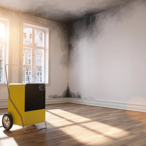 A picture showing the black stains of mould in a UK home