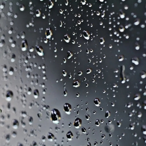 A photo of water collecting on a window