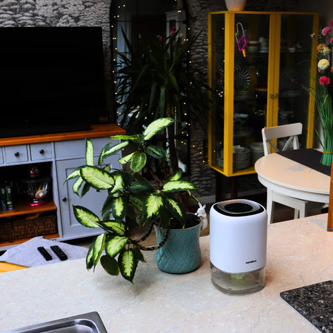 An image of a tidy kitchen with a Senelux Q4 Dehumidifier inside shining a yellow light from its clear water tank onto the marble counter top