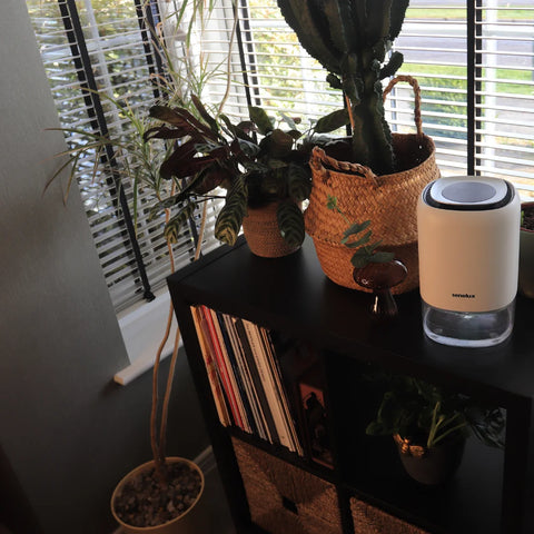 A picture of a small Senelux Dehumidifier sitting on a shelf with a bright, closed window behind it