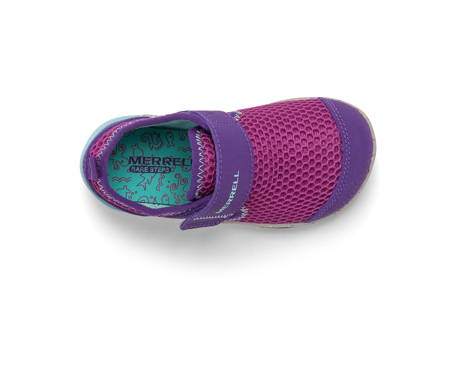 bronce retirada digerir Bare Steps H2O Sandal/Sneaker - Purple/Turq – Tonka Shoe Box | Little Feet  Childrens Shoes