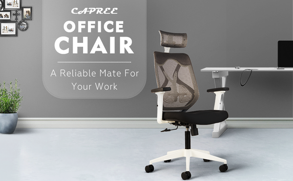 Office Chairs Online -CELLBELL