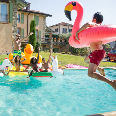 Flamingo Pool Side Party