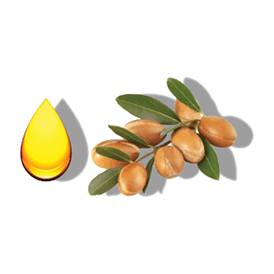 https://cdn.shopify.com/s/files/1/0610/2174/9429/files/ORGANIC-ARGAN-OIL.png?v=1648176228