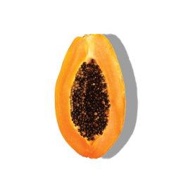 https://cdn.shopify.com/s/files/1/0610/2174/9429/files/ORGANIC-PAPAYA-EXTRACT.png?v=1648176225