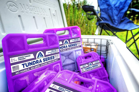 Bright purple ice packs in an open cooler