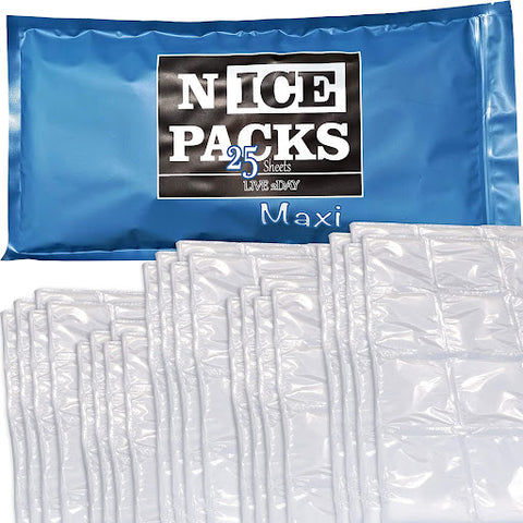 4 Ice Packs for Cool Box Lunch Bags,Mini Ice Pack Cooler Blocks,Small Freezer  Blocks for Cool Bags,Mini Freezer Bags for Cool Box Lunch Bags,Long Lasting Cold  Ice Pack,Small Ice Blocks Freezer Pack :