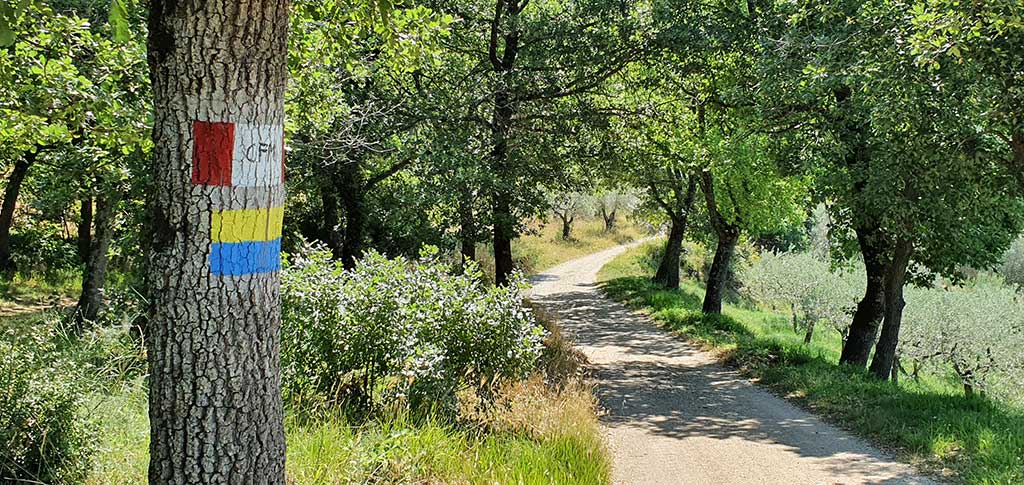 Cammino Francescano della Marca