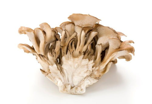 Maitake