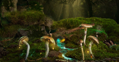 fantasy land with mushroom houses