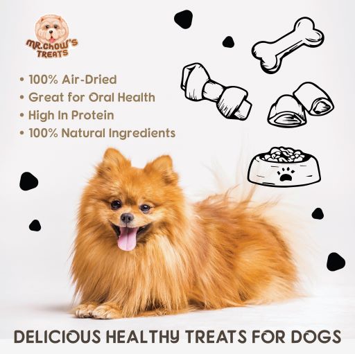 Mr. Chow's Treats - Natural Peanut Butter for Dogs 100% Roasted Peanut –  MrchowsTreats