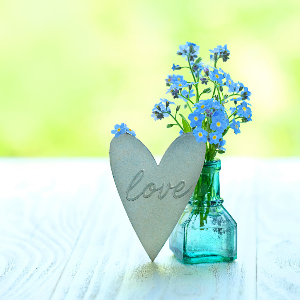 Aretes con Flores de Nomeolvides Naturales en Corazón de Plata .925 - –  TAMI joyería