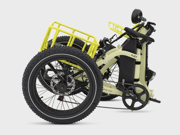 Flex Electric Snowbike