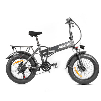 paselec ebike