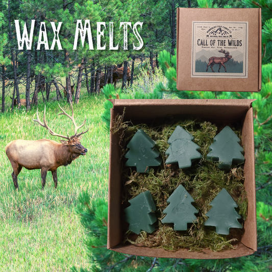 Black Bear Grove - Wax Melts – Wanderlust Folk Candle Co.