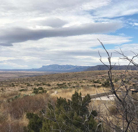 View from Carlsbad Caverns, with silhouette of Guadalupe Mountains in background