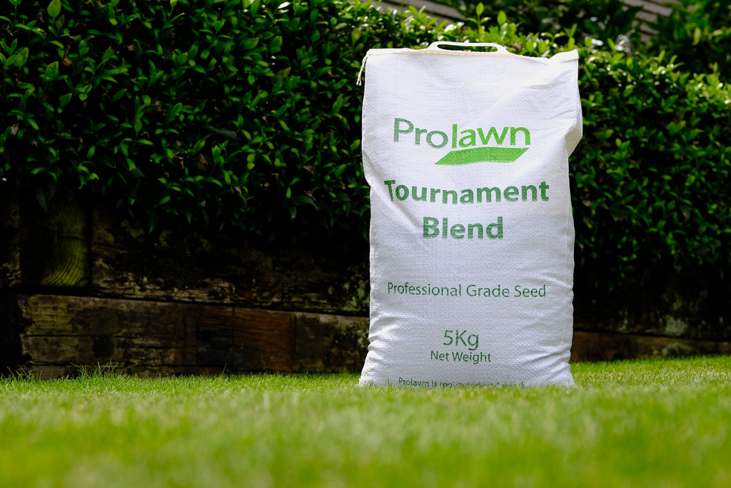 Tournament Blend grass seed