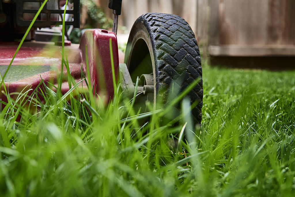 Lawn care