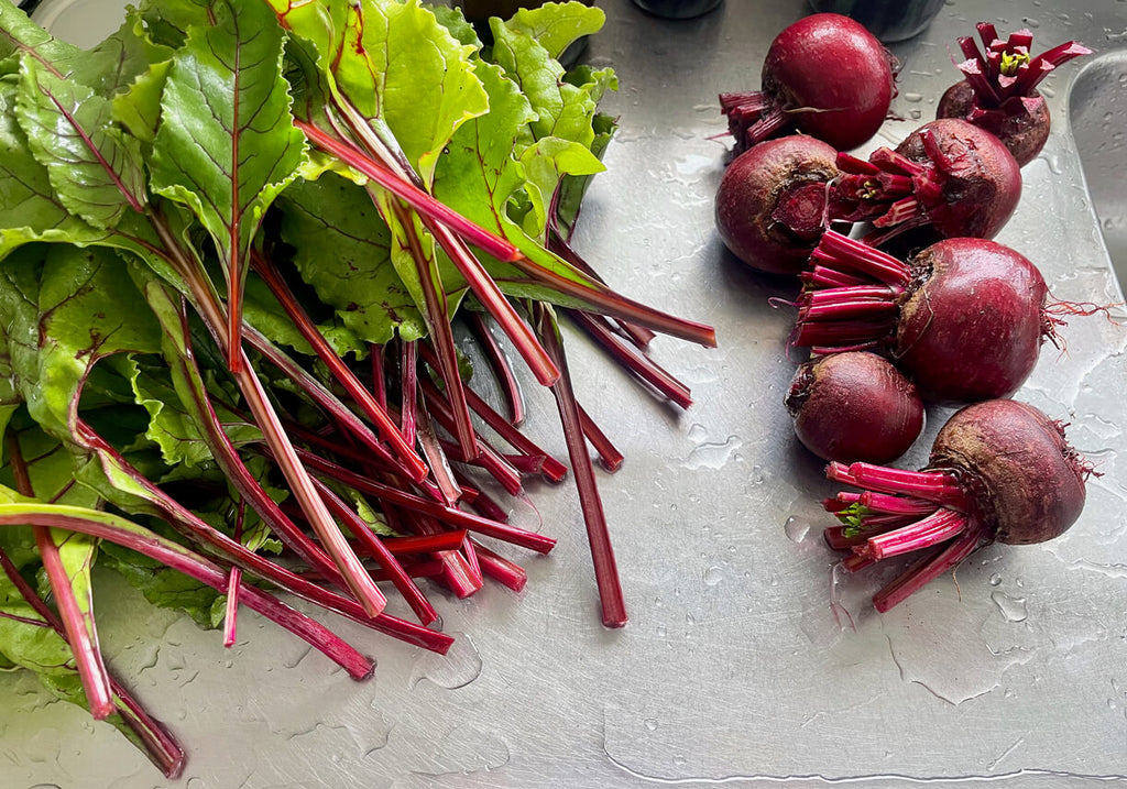 Beetroot Harvest