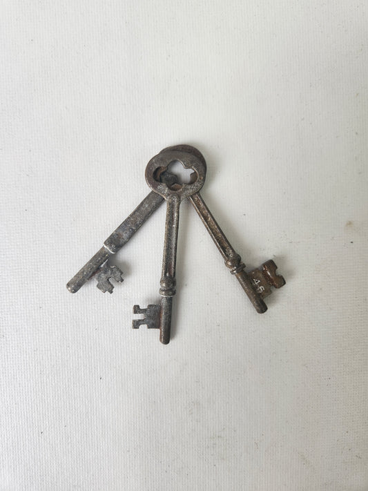 Skeleton Keys for Old Doors 
