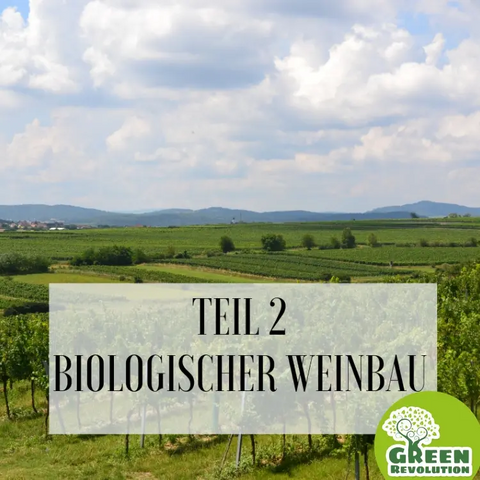 Teil 2 Biologischer Weinbau