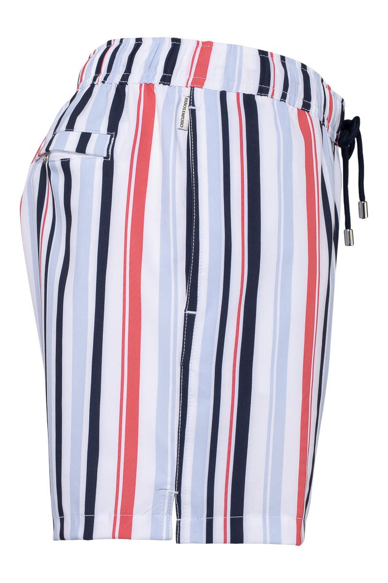 Classic Swimming Trunks, Multi Stripe