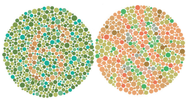 Ishihara Color Vision Test