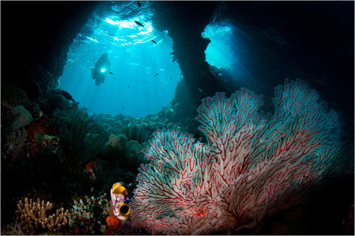 Diving Misool Resort Indonesia