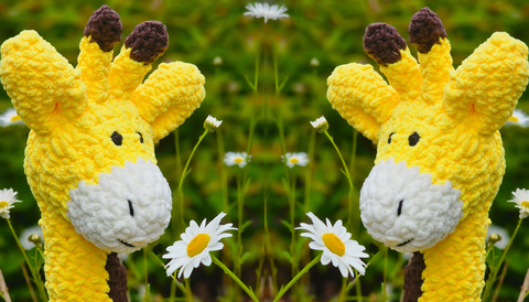 2 giraffe handmade stuffed toys are pictured eating daisies