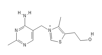 Den kemiske struktur af Vitamin B1 - Thiamin