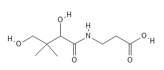 Den kemiske struktur af vitamin B5 (Pantothensyre).