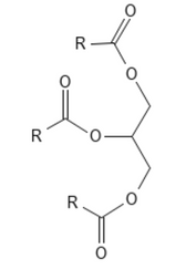 Den grundlæggende kemiske struktur af triglycerid