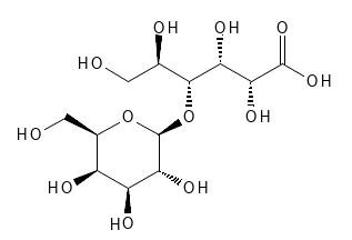 Den kemiske (og stereokemiske) struktur af Lactobionic Acid.