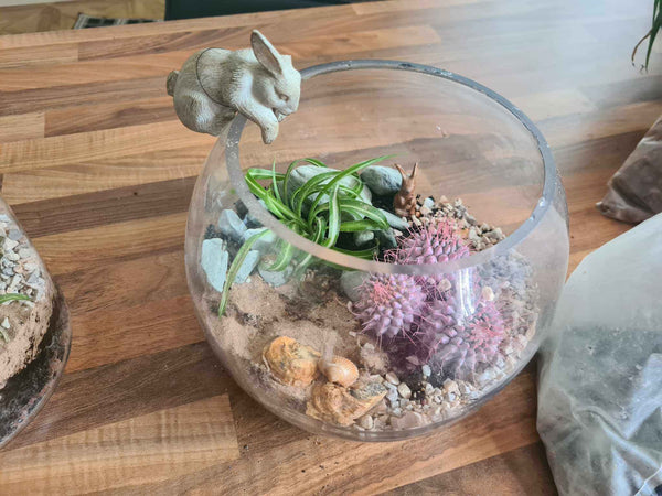 Finished terrarium.