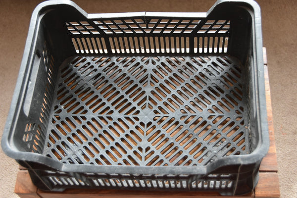 Photo of grey coloured plastic tray with holes