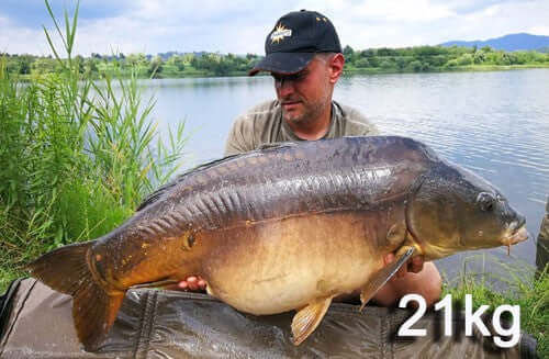 21kg catch