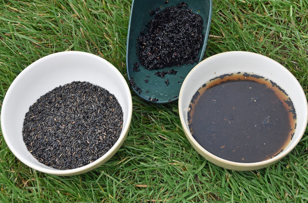 Bowls showing niger seed before & after being boiled.