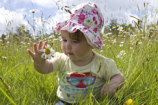 Baby touching a daisy.