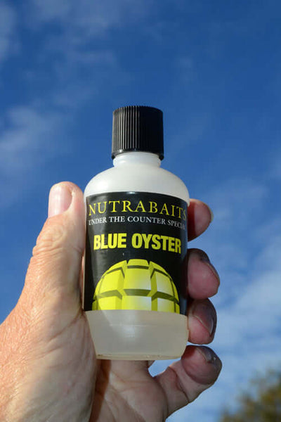 Blue-Oyster-Attractor