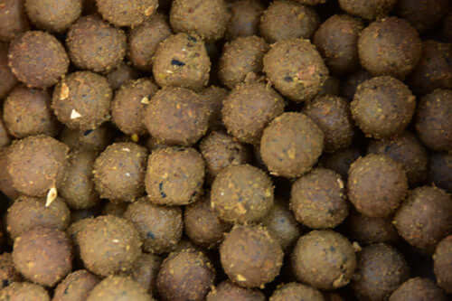 Boilies