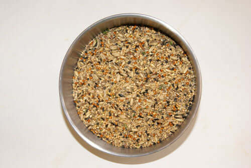 Bowl of budgie tonic seed