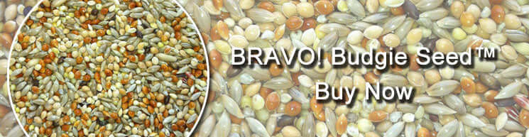 /products/bravo-budgie-seed