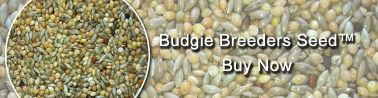 Budgie Breeders Mix