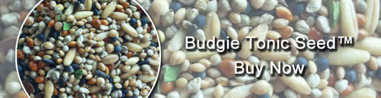 Budgie Tonic seed from Haith's