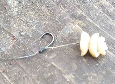 use a size 10 hook and create a hair rigg