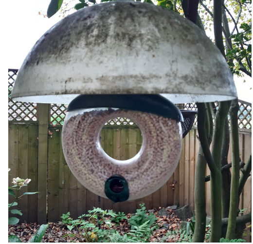 Customer DIY bird feeder with Haiths seeds
