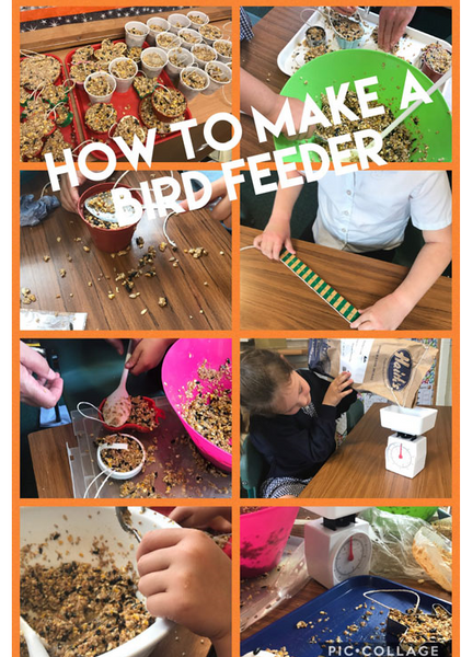 How to make a bird feeder from Haiths with school children
