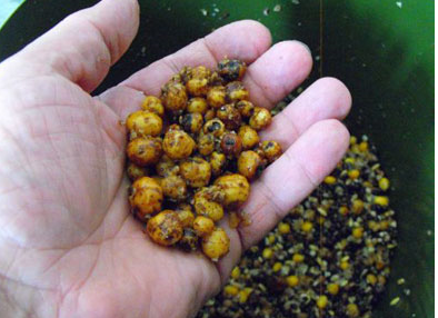 Haith's tiger nuts how to prepare them