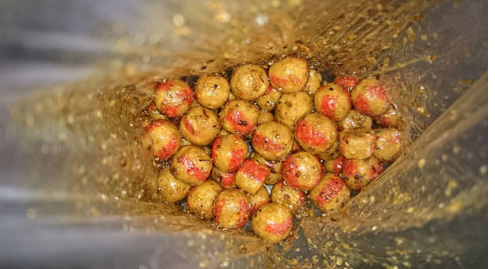 dried mealworms into boilies