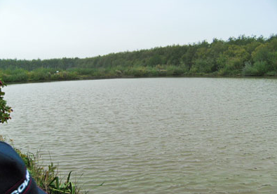 The calm lake